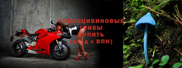 прущий лед Белокуриха