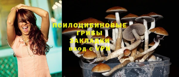 прущий лед Белокуриха