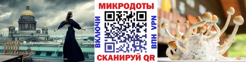 закладки  Надым  Галлюциногенные грибы GOLDEN TEACHER 